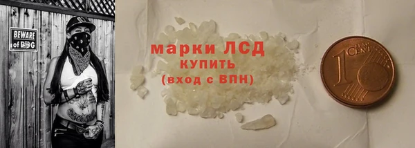 прущие грибы Армянск