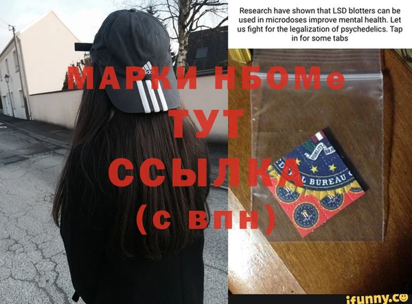 прущие грибы Армянск