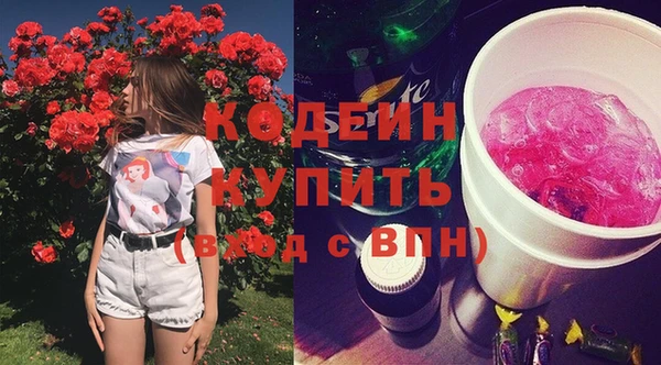 прущие грибы Армянск