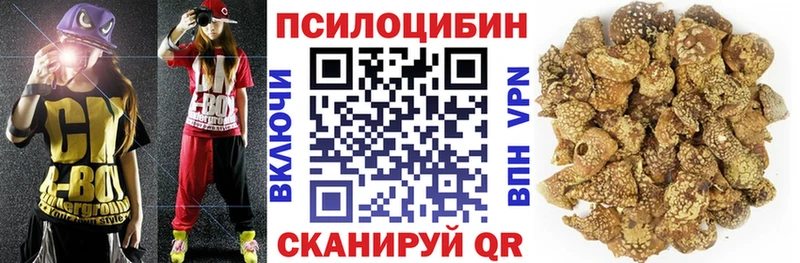 Псилоцибиновые грибы GOLDEN TEACHER  Исилькуль 